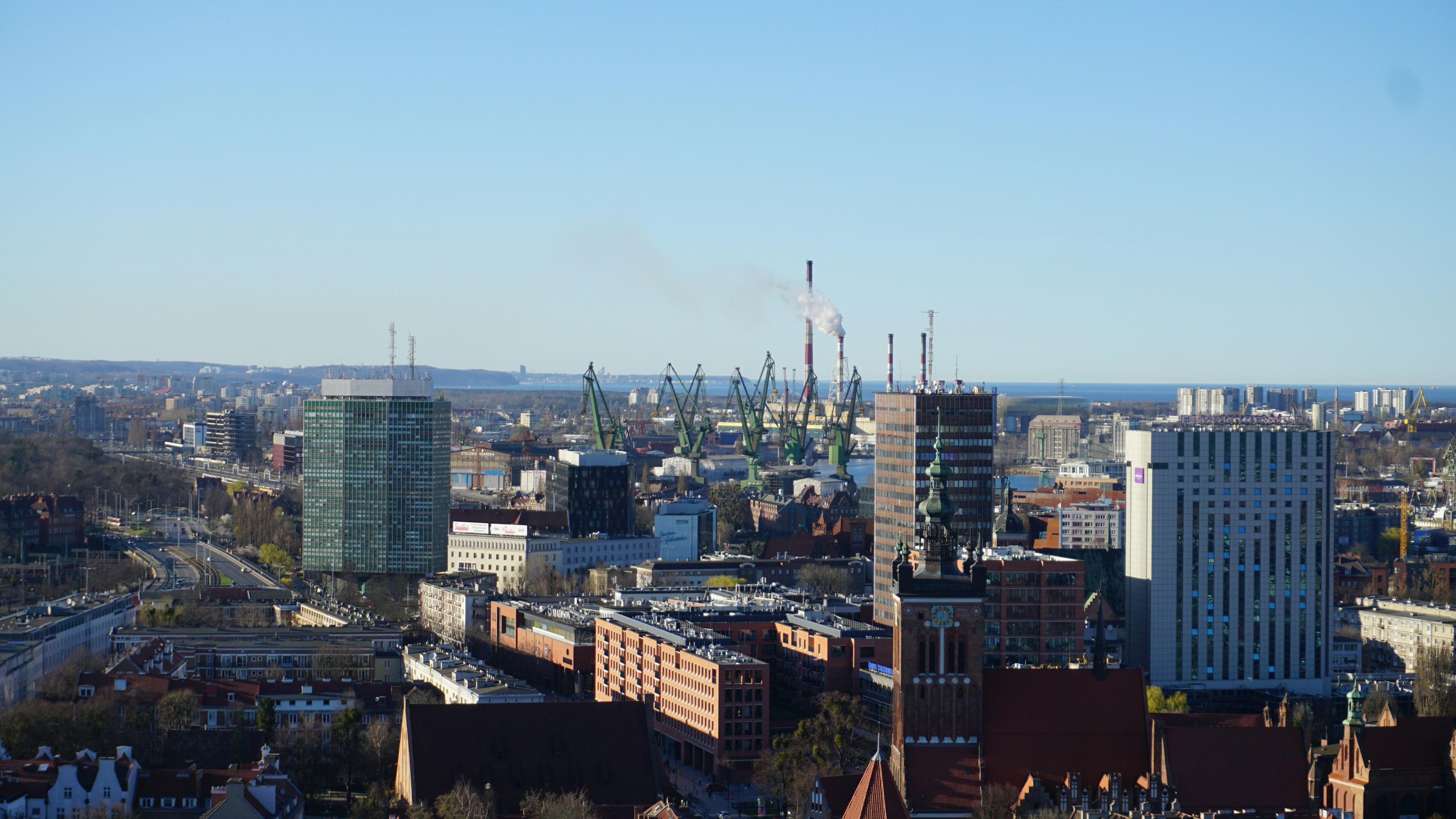 Widok z oddali na Port Morski w Gdańsku, zza zabudowań wystają dźwigi do transportu kontenerów.